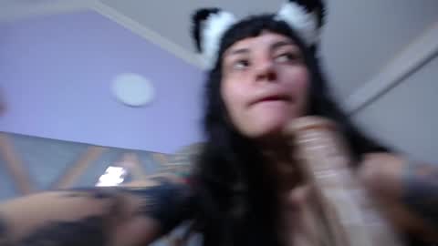 Kitten online show from 31, 1, 2025