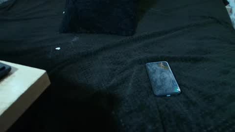 Kitten online show from 1, 3, 2025