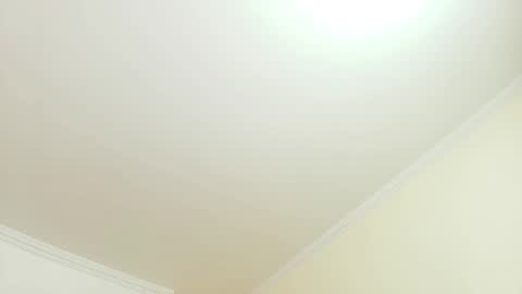 Kitten online show from 25, 9, 2025