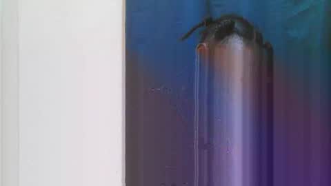 jn online show from 28, 3, 2026