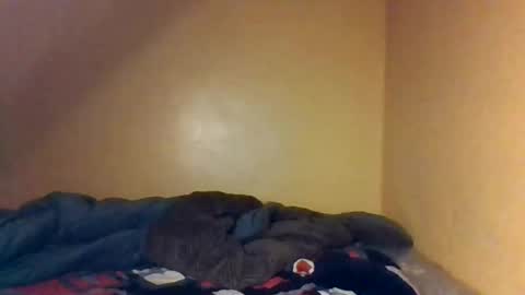 Snapshot of naughtyaura_ebony chatting on 26, 4, 2026 Bree doll online show from 26, 4, 2026