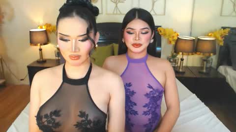 F R A N Z I A online show from 16, 11, 2025