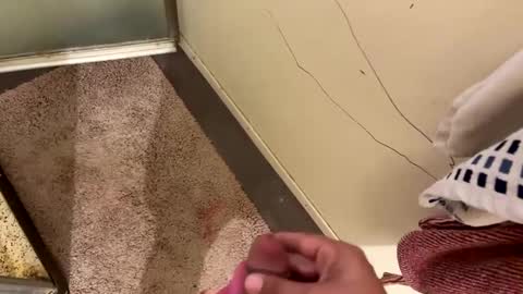 nbarrie98 online show from 7, 12, 2024