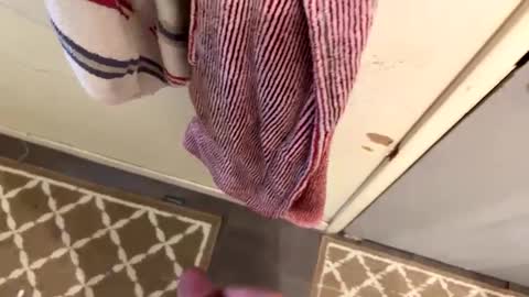 nbarrie98 online show from 9, 2, 2025