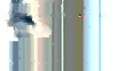 ncmale251 online show from 15, 7, 2026