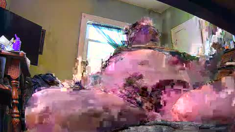 ND Cowpoke online show from 8, 2, 2025