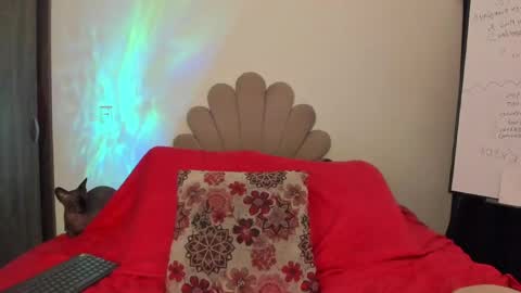 Snapshot of neeii chatting on 8, 5, 2026 Nei turn green online show from 8, 5, 2026