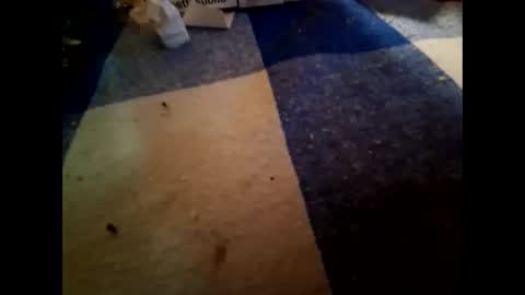 boo online show from 1, 11, 2025