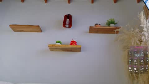 Jordan online show from 7, 4, 2026