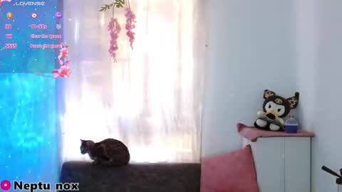 Neptu noxx online show from 31, 1, 2025