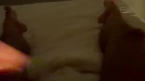 new25cam online show from 10, 1, 2026