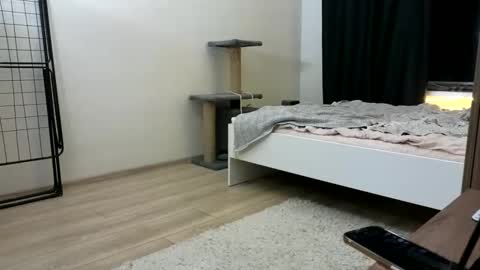 Nova online show from 3, 11, 2025