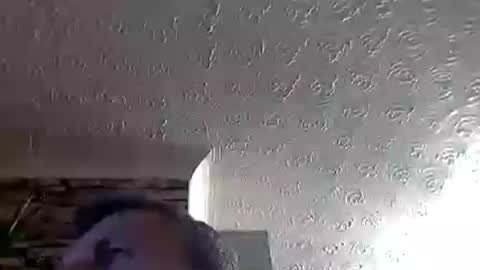 Snapshot of nice_cock8080 chatting on 4, 7, 2026 nice_cock8080 online show from 4, 7, 2026