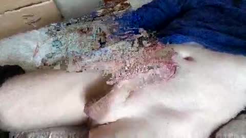 nice_dicknballs online show from 2, 5, 2026