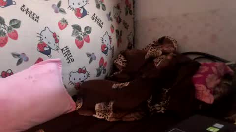 nicharee online show from 17, 6, 2026