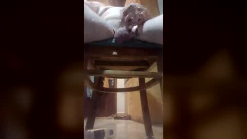 Snapshot of nickthefiddler chatting on 23, 6, 2026 TheCock online show from 23, 6, 2026