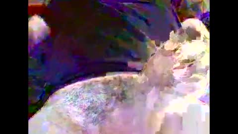 Nickyfruit online show from 30, 10, 2025