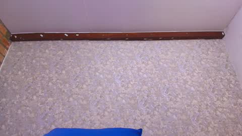 Nicol online show from 13, 1, 2025