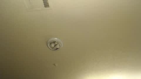 Nikki Mastersgirl1091 online show from 10, 4, 2026