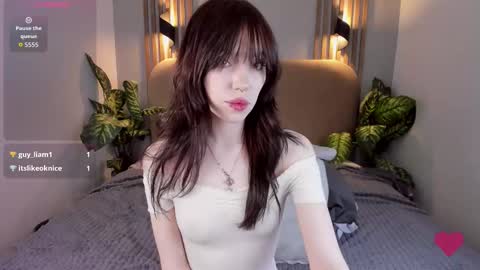 Nikki online show from 3, 12, 2025