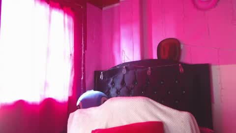 Nikkirous online show from 8, 5, 2026