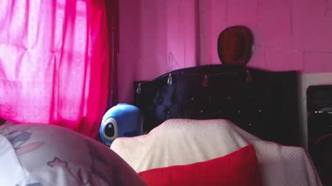 Snapshot of nikkirous_ chatting on 29, 5, 2026 Nikkirous online show from 29, 5, 2026