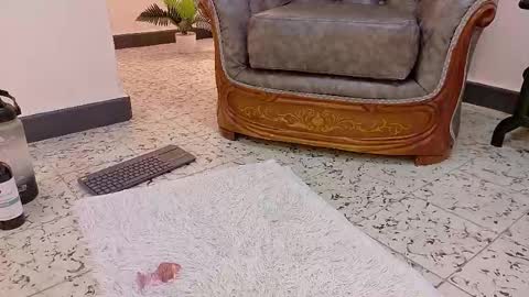  NIKY SMIT  online show from 16, 2, 2025