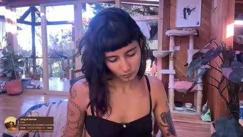 Nina.  online show from 20, 10, 2025