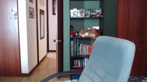 Snapshot of nina_moonbeam chatting on 3, 12, 2025 Nina Moon online show from 3, 12, 2025