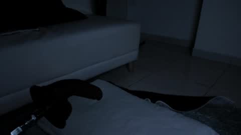 Snapshot of nina_sweetz chatting on 22, 6, 2026 Nina online show from 22, 6, 2026