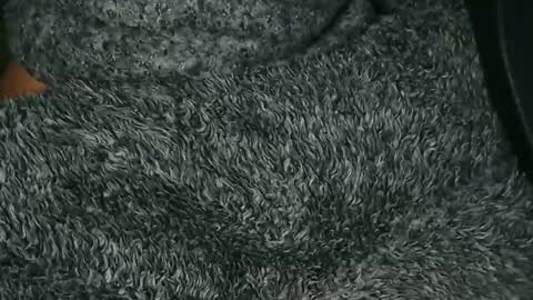 nineinchhard online show from 16, 12, 2025