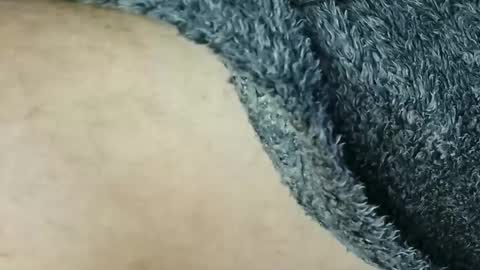 nineinchhard online show from 6, 3, 2026