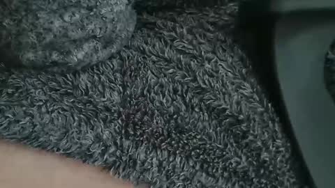 nineinchhard online show from 9, 4, 2026