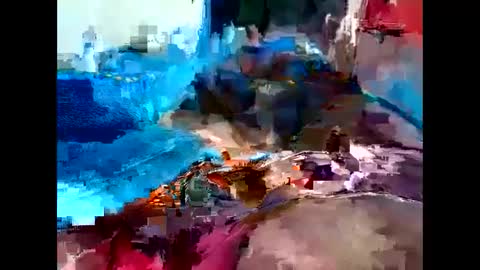 Nisha online show from 29, 12, 2024