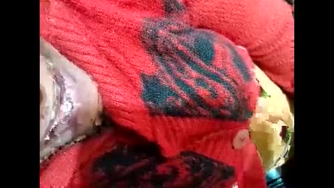 Nisha online show from 3, 1, 2025