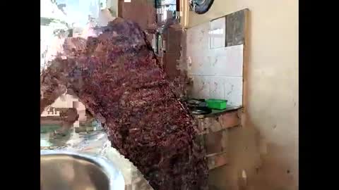 Nisha online show from 28, 1, 2025