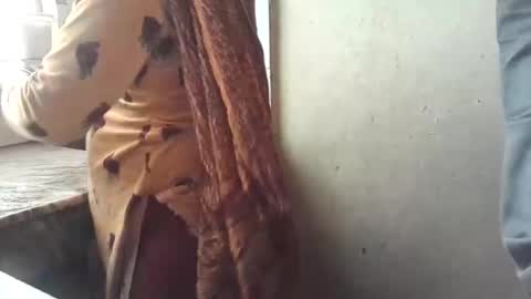 Nisha online show from 29, 1, 2025