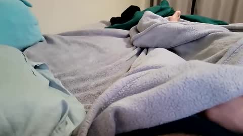 niyo1996 online show from 16, 2, 2026