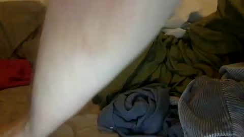 Noah Warren online show from 28, 9, 2025