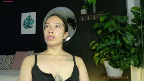 Noah  online show from 12, 4, 2026