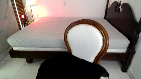 Noah  online show from 24, 3, 2026