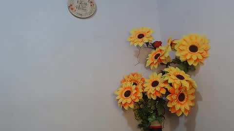 Snapshot of noah_miller7 chatting on 6, 1, 2025 Noah Millers online show from 6, 1, 2025