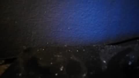 Nocycle000 online show from 14, 9, 2025