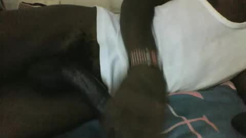 Snapshot of noella1234 chatting on 29, 3, 2026 noella1234 online show from 29, 3, 2026