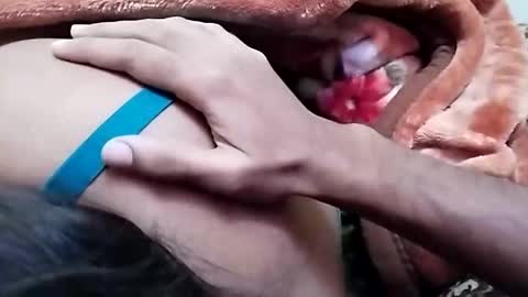 Snapshot of nooby942461 chatting on 26, 12, 2024 sim nib online show from 26, 12, 2024