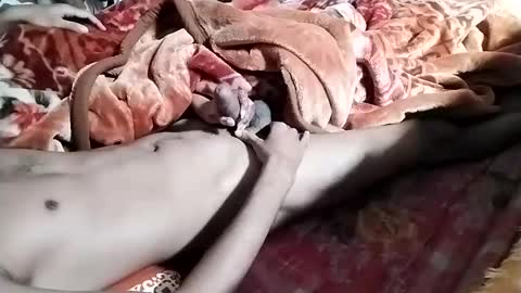 Snapshot of nooby942461 chatting on 28, 1, 2025 sim nib online show from 28, 1, 2025