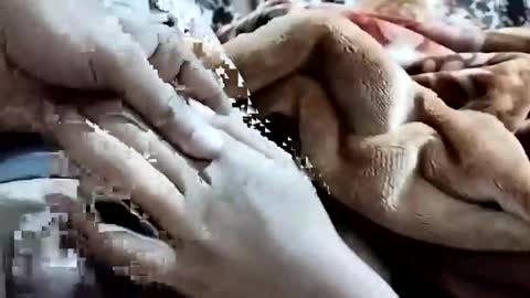 sim  nib online show from 1, 2, 2026