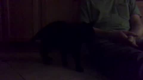 Noodles online show from 16, 1, 2026