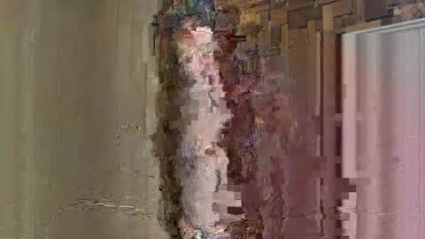 Snapshot of noodsovernudes chatting on 26, 5, 2026 NoodsOverNudes online show from 26, 5, 2026