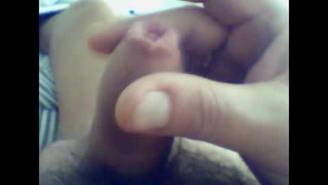 norbitomii online show from 1, 12, 2025